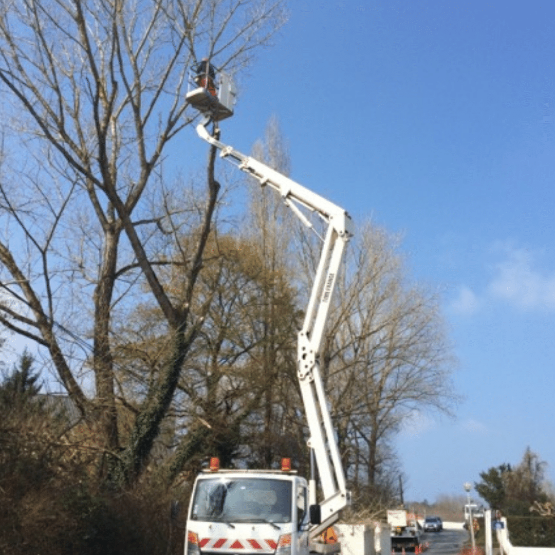 Arbres & co 64 - Lohiague élagages - parcs - jardins - abattages