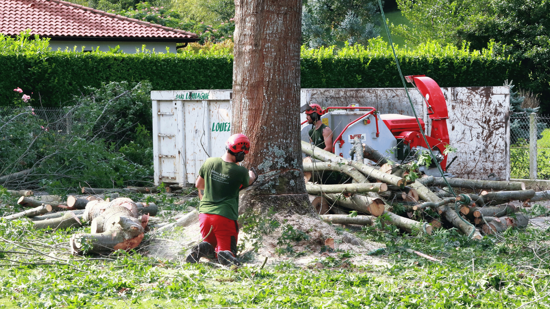 Arbres & co 64 - Lohiague élagages - parcs - jardins - abattages